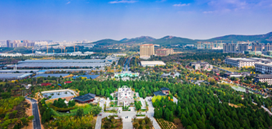 MK体育(国际)官方网站,mksport,产业